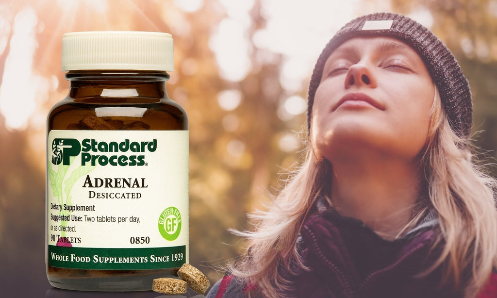 Adrenal Desiccated by Standard Process- Dr. Review, Uses, Side EffectsDairy Free, Dr. Candy Akers, Gluten Free, Soy Free, Standard Process, Stress & Anxiety, Women's Health