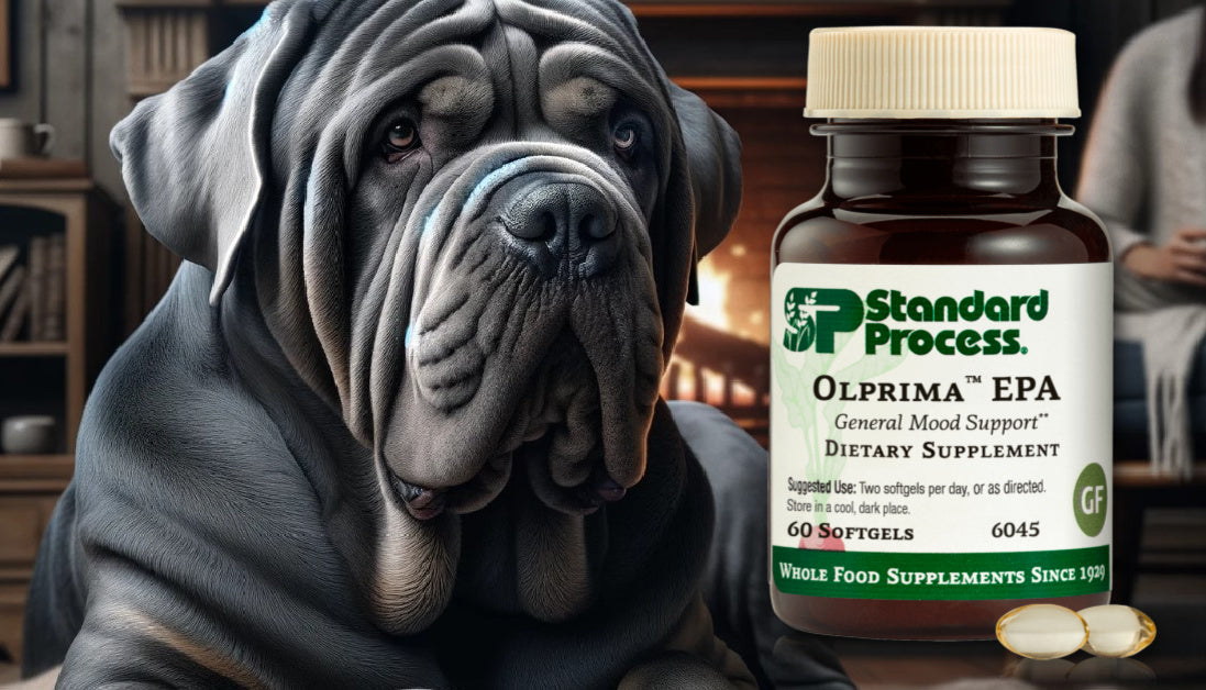 Olprima™ EPA by Standard Process by Dogs Joint and Immune Health, A V
