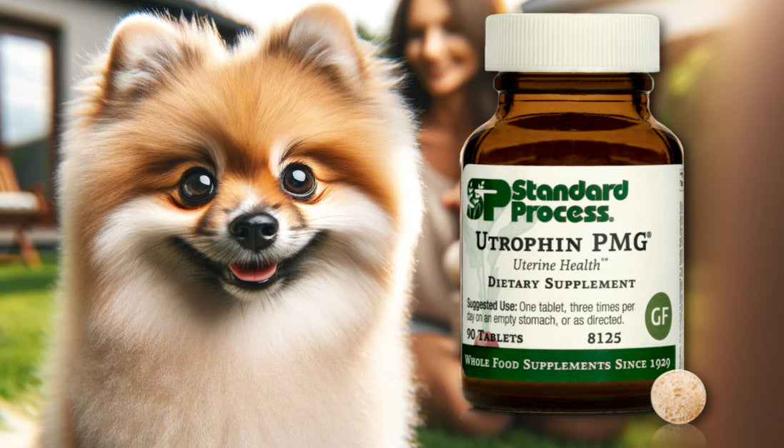 Utrophin PMG® by Standard Process for Dogs Uterine Health, Expert Vet