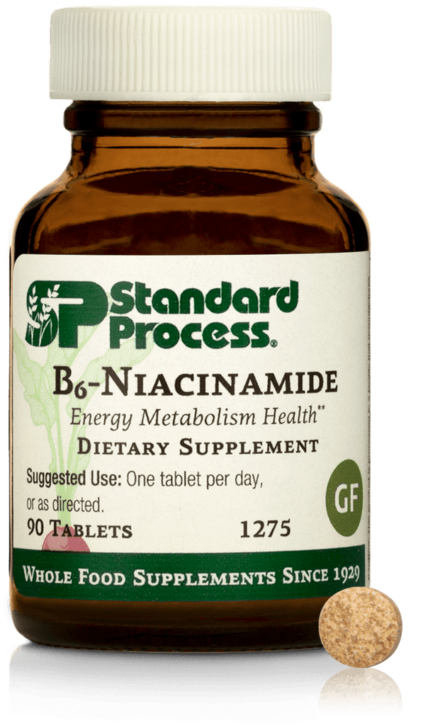 Standard Process Inc Vitamins & Supplements B6-Niacinamide, 90 Tablets