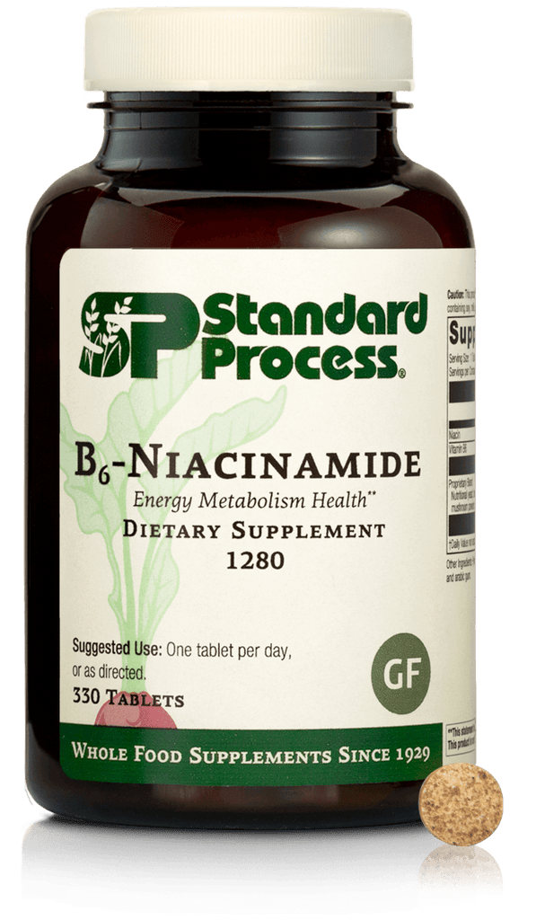 Standard Process Inc Vitamins & Supplements B6-Niacinamide, 330 Tablets