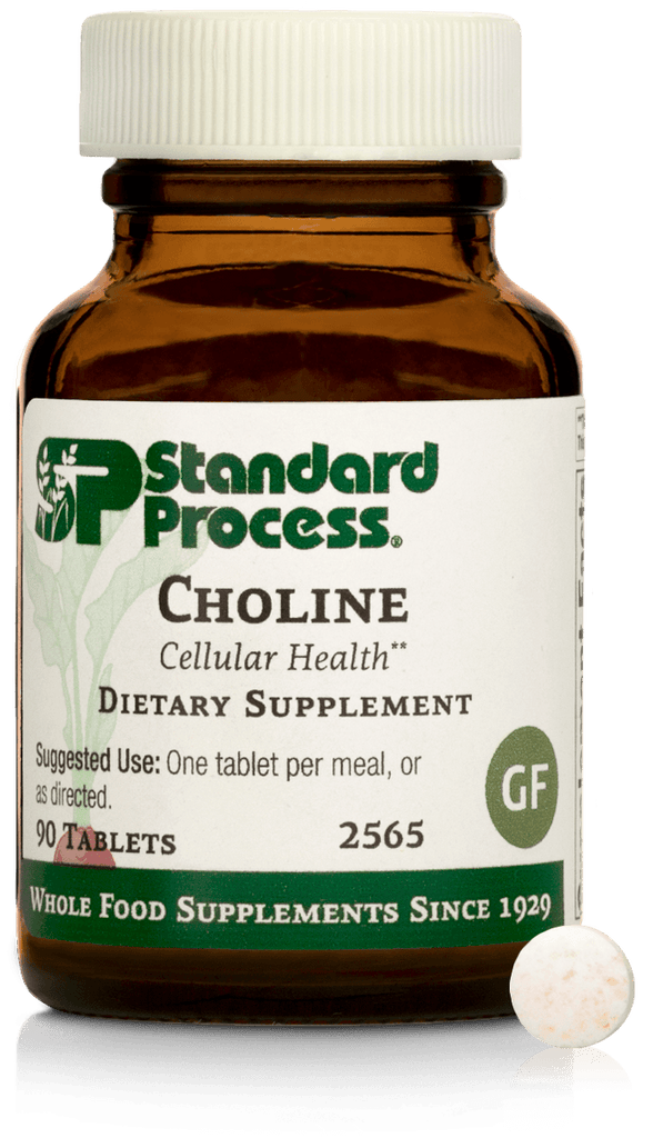 Standard Process Inc Vitamins & Supplements Choline, 90 Tablets