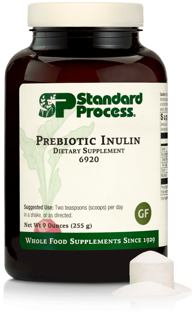 Standard Process Inc Vitamins & Supplements Prebiotic Inulin, 9 oz (255 g)