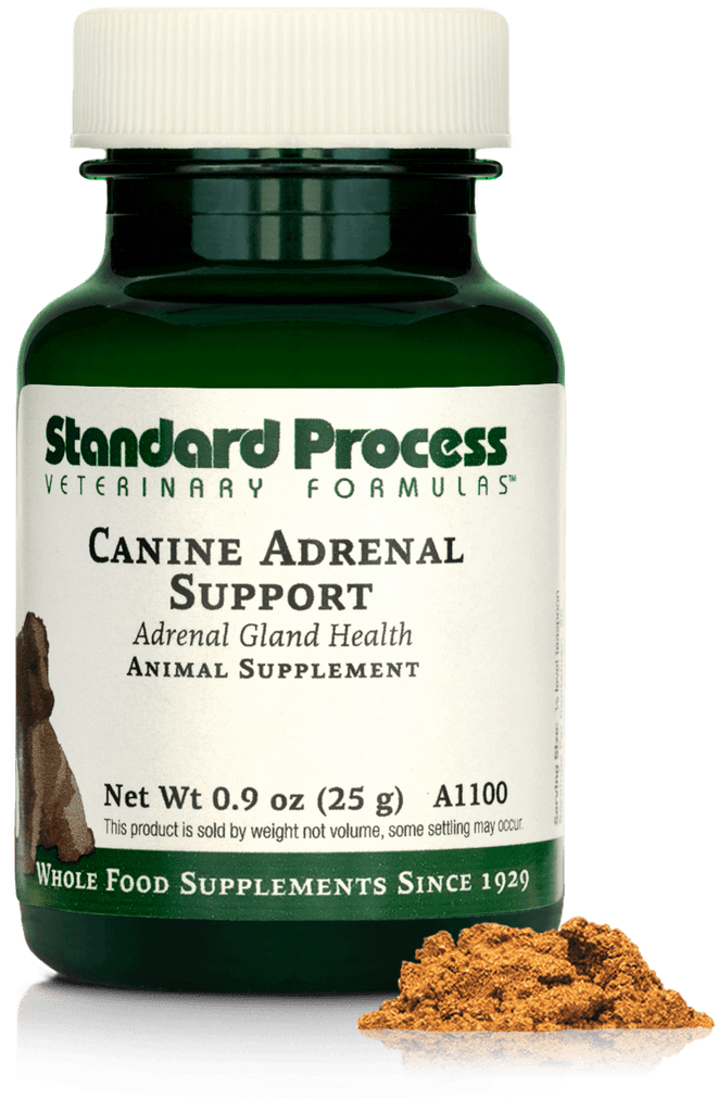 Standard Process Inc Canine Adrenal Support, 0.9 oz (25 g)
