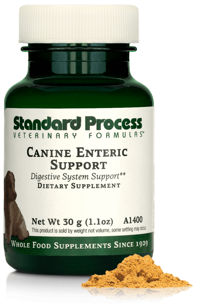 Standard Process Inc Canine Enteric Support, 1.1 oz (30 g)