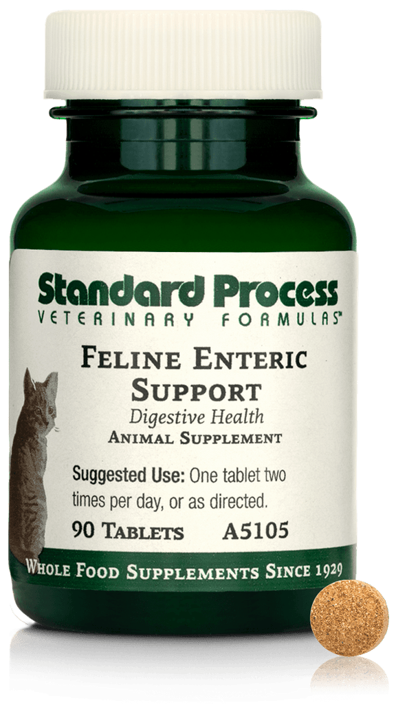 Standard Process Inc Feline Enteric Support, 90 Tablets
