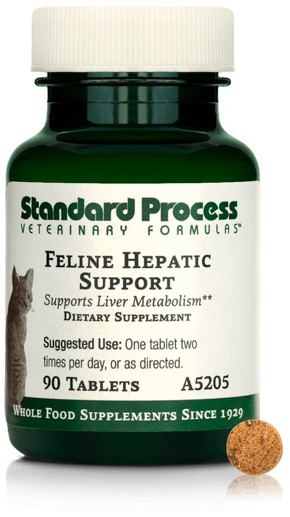 Standard Process Inc Feline Hepatic Support, 90 Tablets