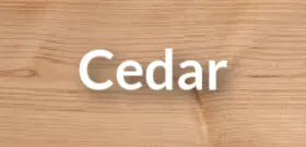 cedar_square