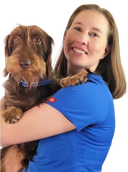 Dog Supplements - Whole Food Nutritional Supplements For Holistic Health