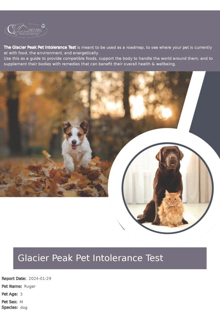 Glacier Peak Pet Wellness Life Stress Scan Stress Scan for Pets Glacier Peak Holistics   