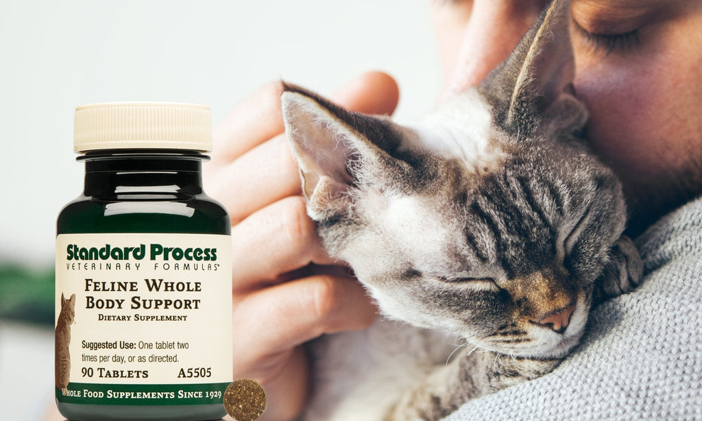 Feline Whole Body Support by Standard Process | Support Your Cat's Body NaturallyCats, Dr. Candy Akers, Mobility - Joints - Bones, Multivitamin, Standard Process