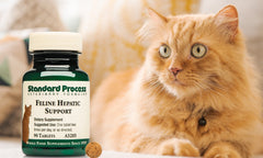 Standard Process Feline Hepatic Support | Natural Liver Health for Your Cat