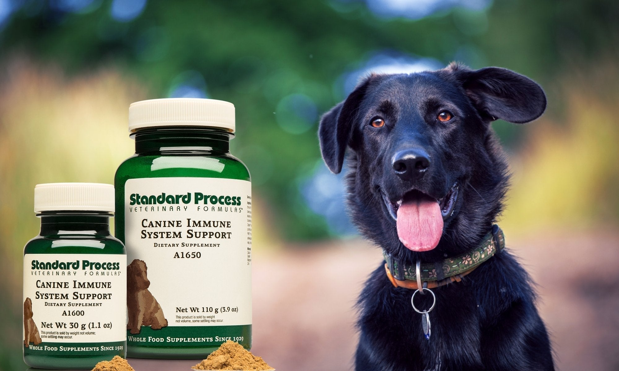 Standard process canine cardiac support hotsell
