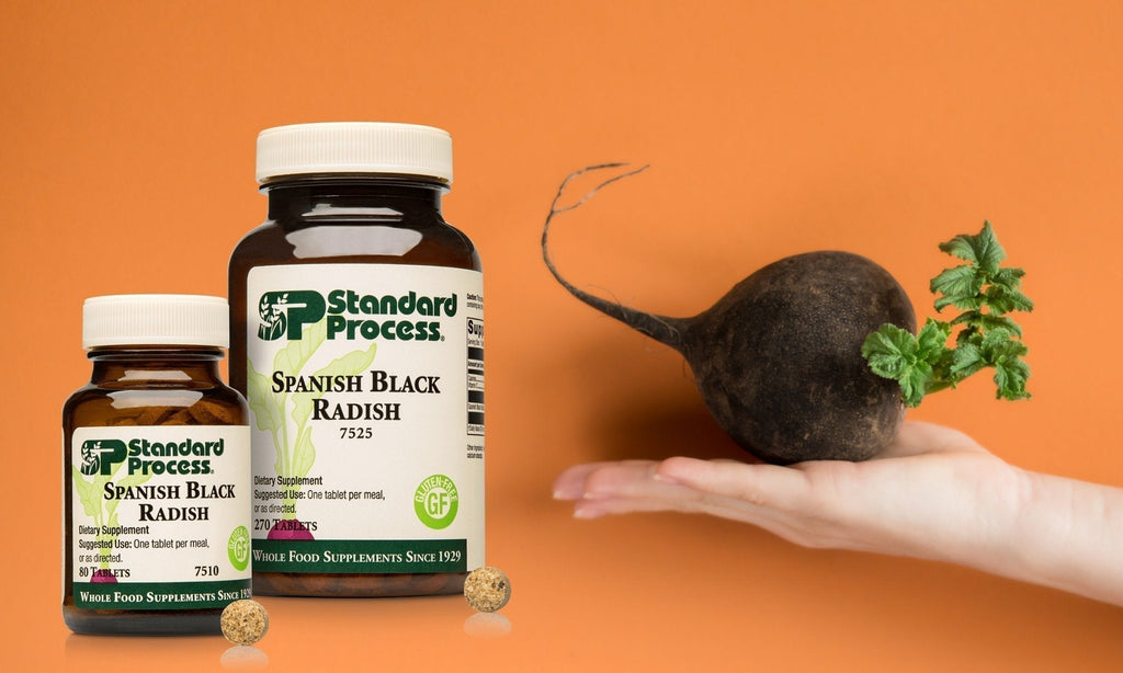 Standard Process Spanish Black Radish- Supplement Info & ReviewDairy Free, Detox & Purification, Digestion, Dr. Candy Akers, Gluten Free, Kidney Health, Liver Health, Soy Free, Standard Process, Vegetarian