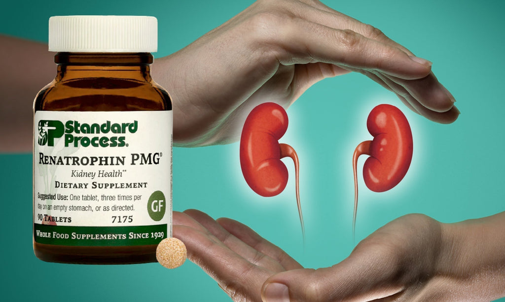 Renatrophin PMG® by Standard Process- Kidney & Urinary Health, NaturallyDr. Candy Akers, Kidney Health, Standard Process