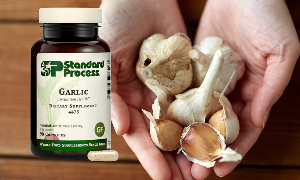 Garlic by Standard Process- A Holistic Solution for Your Health and WellbeingDr. Candy Akers, Standard Process