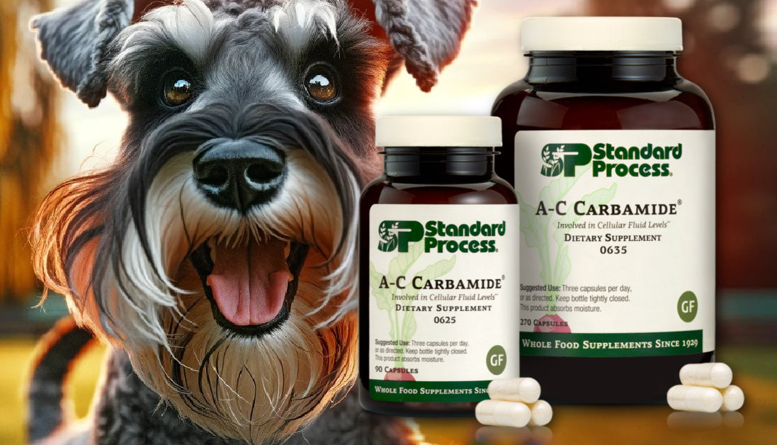 Discover AC Carbamide® for Dogs by Standard Process A Vet's Insight