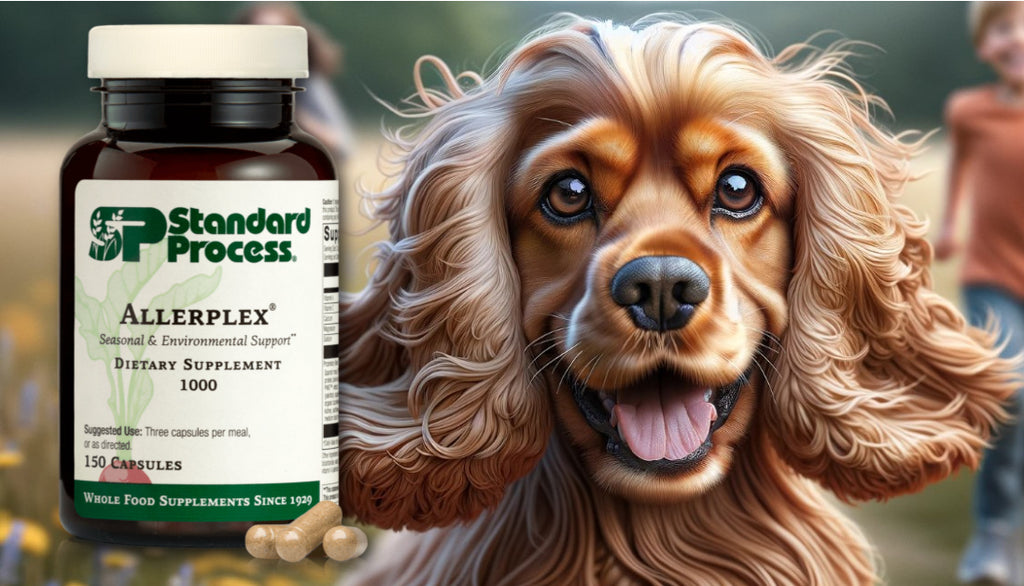 Allerplex® by Standard Process for Dogs: Allergy Support, Vet-Recommended