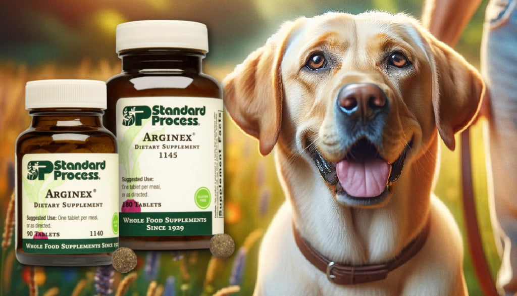 Arginex® by Standard Process for Dogs: Detoxification Solutions Approved by Vets