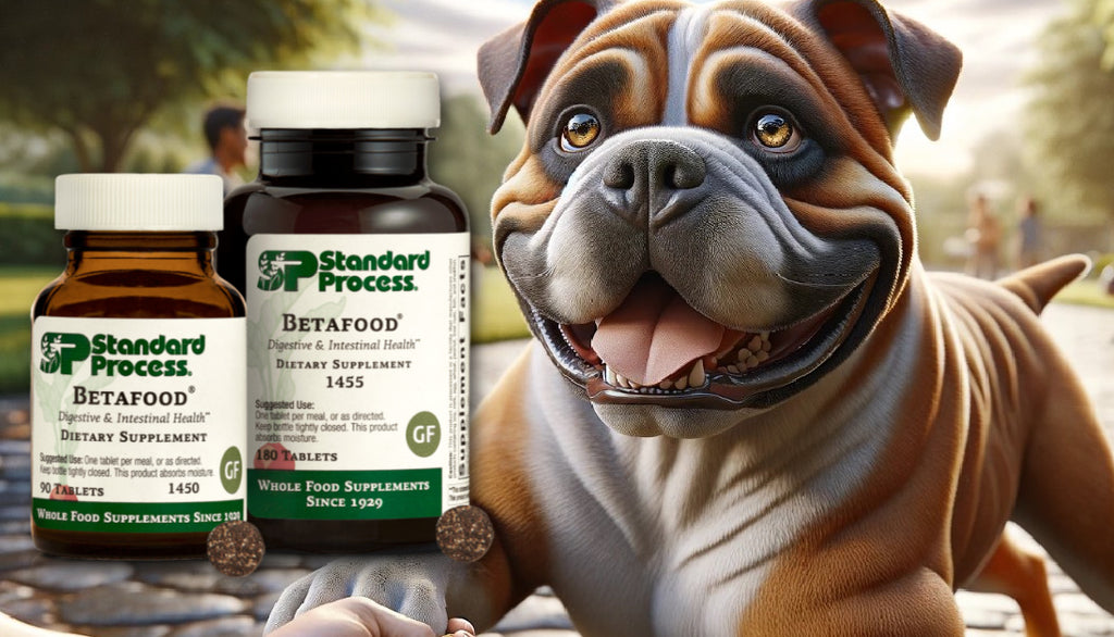 Betafood® by Standard Process for Dogs: Comprehensive Veterinary Digestive Health Guidance