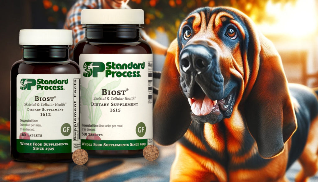 Biost® by Standard Process for Dogs: A Vet’s Endorsement for Bone and Teeth Health