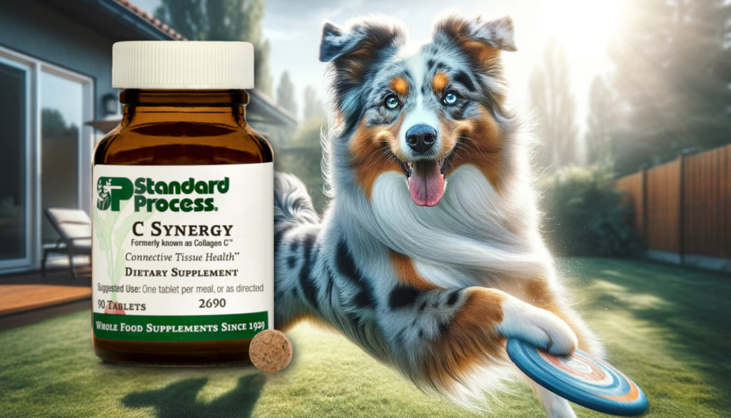 C Synergy by Standard Process by Dogs: Enhancing Immune Function, A Vet's Perspective