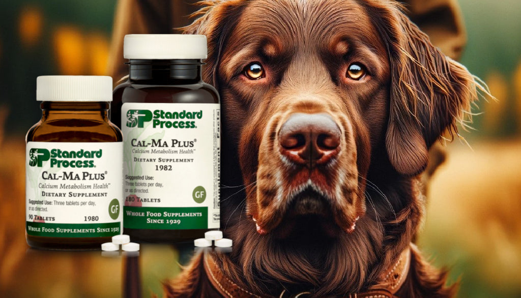 Cal-Ma Plus by Standard Process for Dogs: Nutrition for Lifelong Health