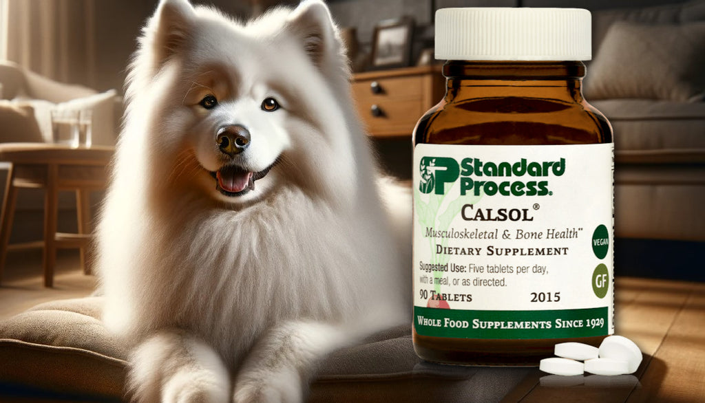 CalSol by Standard Process for Dogs: Bone Health Supplement