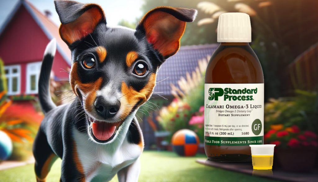 Calamari Omega-3 Liquid by Standard Process for Dogs: Chosen by Veterinarians for Coat and Joint Health
