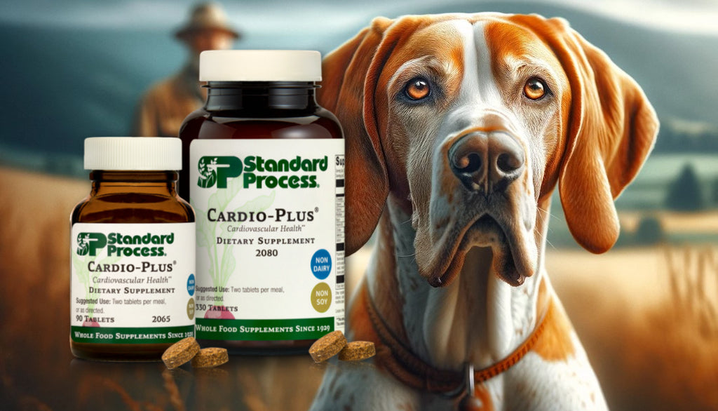 The Heart Health Benefits of Cardio-Plus® by Standard Process For Dogs: A Veterinarian’s Guide
