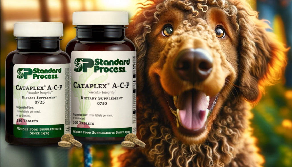 Cataplex® A-C-P by Standard Process for Dogs: Cardiovascular and Immune Health, Vet-Advised