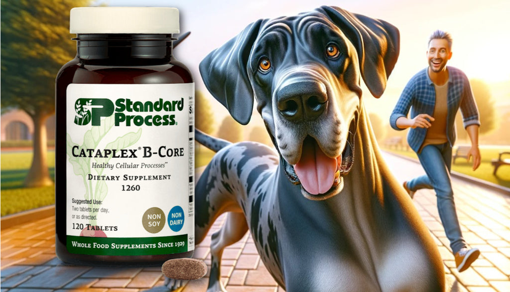 Cataplex® B-Core by Standard Process for Dogs: Core Nutritional Support as Advised by Veterinarians