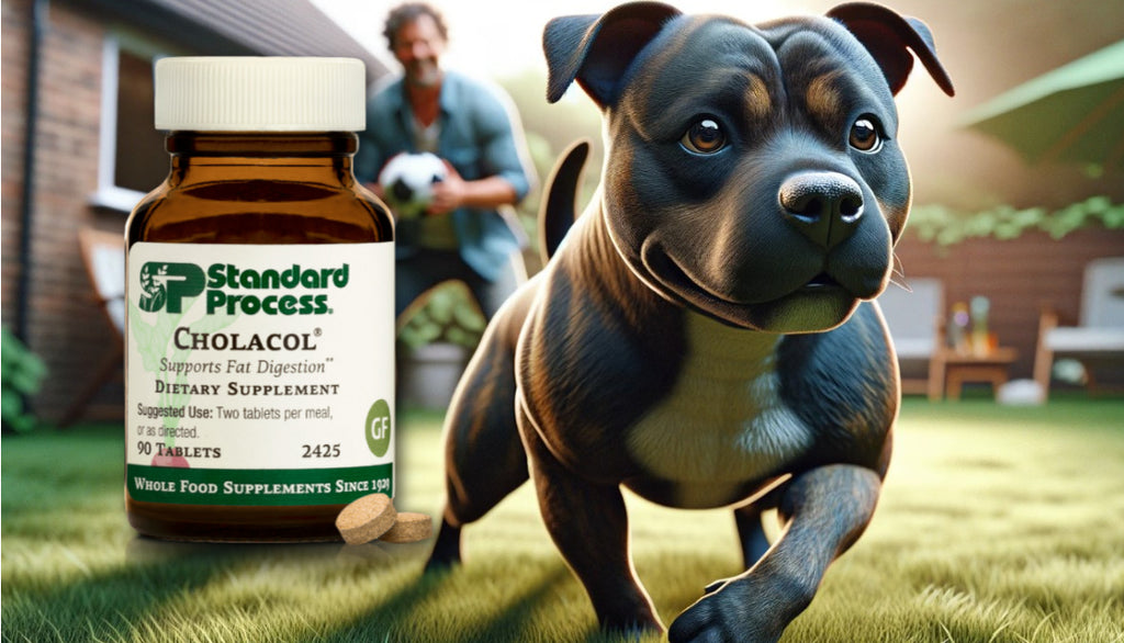 Cholacol® by Standard Process for Dogs: The Veterinarian's Choice for Liver and Digestive Wellness
