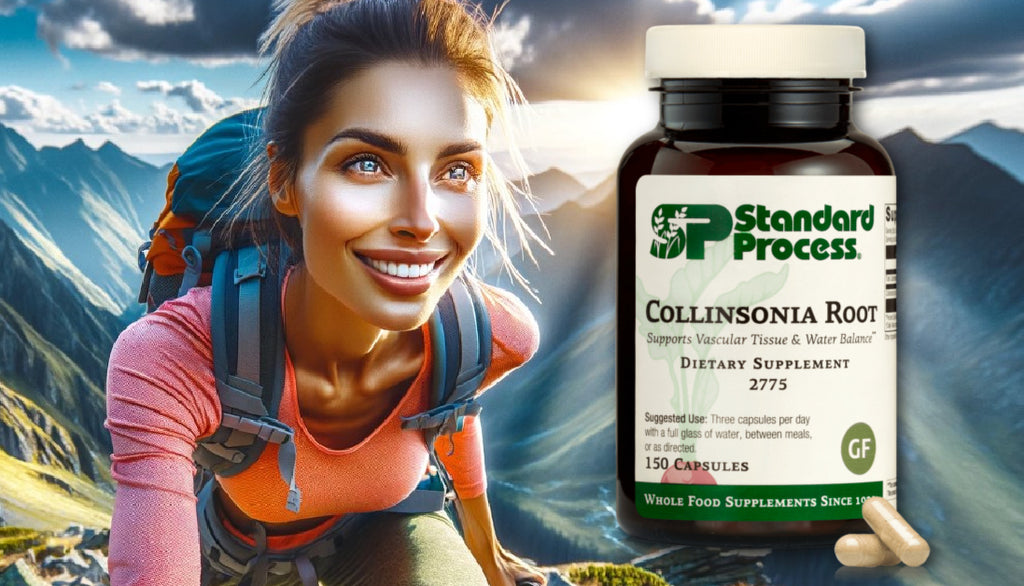 Collinsonia Root by Standard Process- Everything You Need To Know