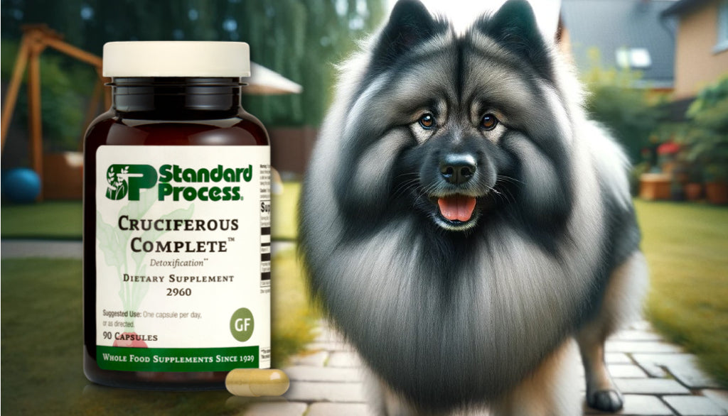 Cruciferous Complete™ by Standard Process for Dogs: Vet-Endorsed Detoxification and Antioxidant Support