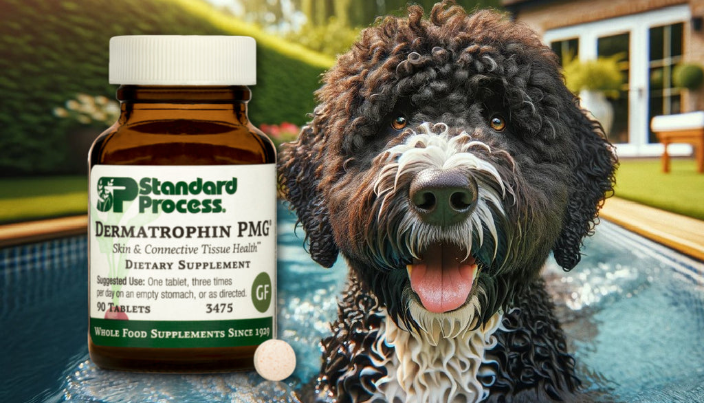 Dermatrophin PMG® by Standard Process for Dogs: A Veterinary Look at Skin and Coat Health