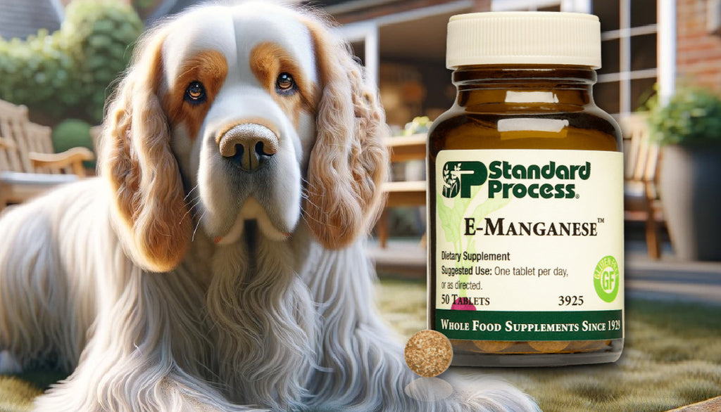 E-Manganese™ by Standard Process for Dogs: Antioxidant and Gland Support from a Veterinarian's View