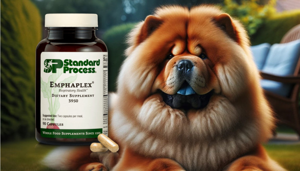Emphaplex® by Standard Process for Dogs: Insights from Vets on Lung and Circulatory Health