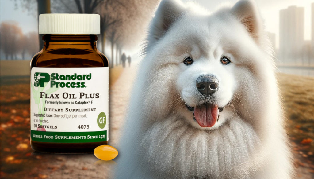 Flax Oil Plus by Standard Process for Dogs: Vet-Advised Skin, Coat, and Joint Health