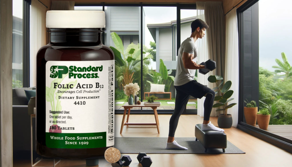 Folic Acid B12 by Standard Process- Everything You Need To Know