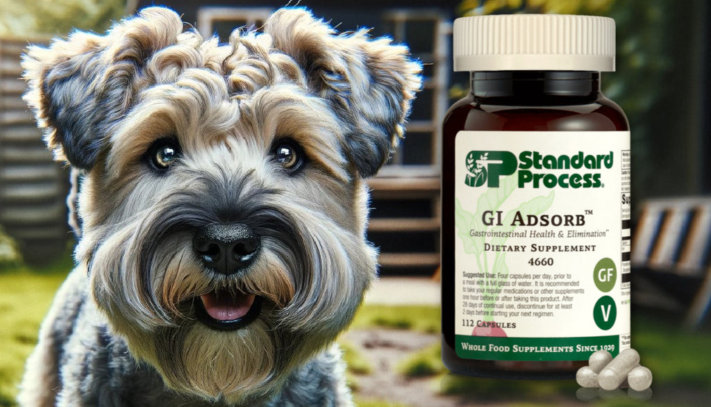 GI Adsorb™ by Standard Process for Dogs: Digestive and Detox Support, Vet-Endorsed