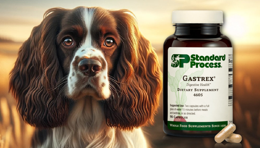 Gastrex® by Standard Process for Dogs A Vet’s Digestive Health and De