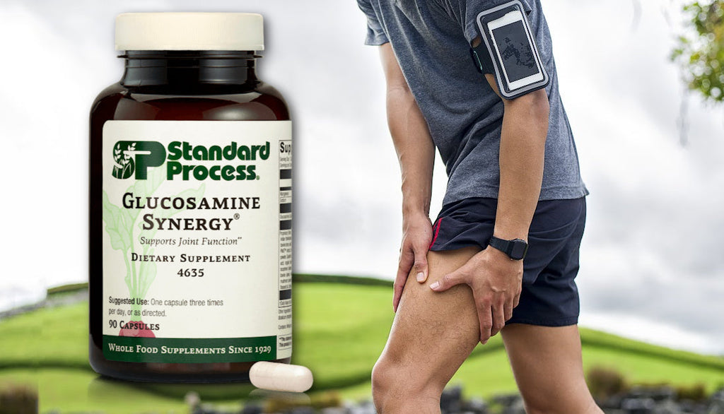 Standard Process Glucosamine Synergy Journeys Holistic Life