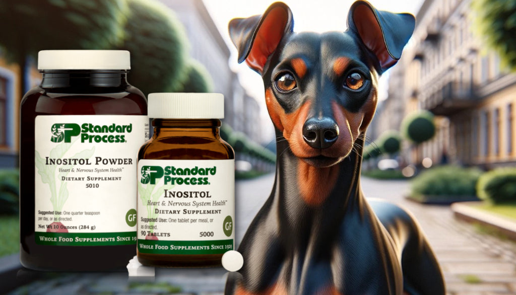 Inositol by Standard Process for Dogs: A Vet’s Approach to Nervous System and Coat Health
