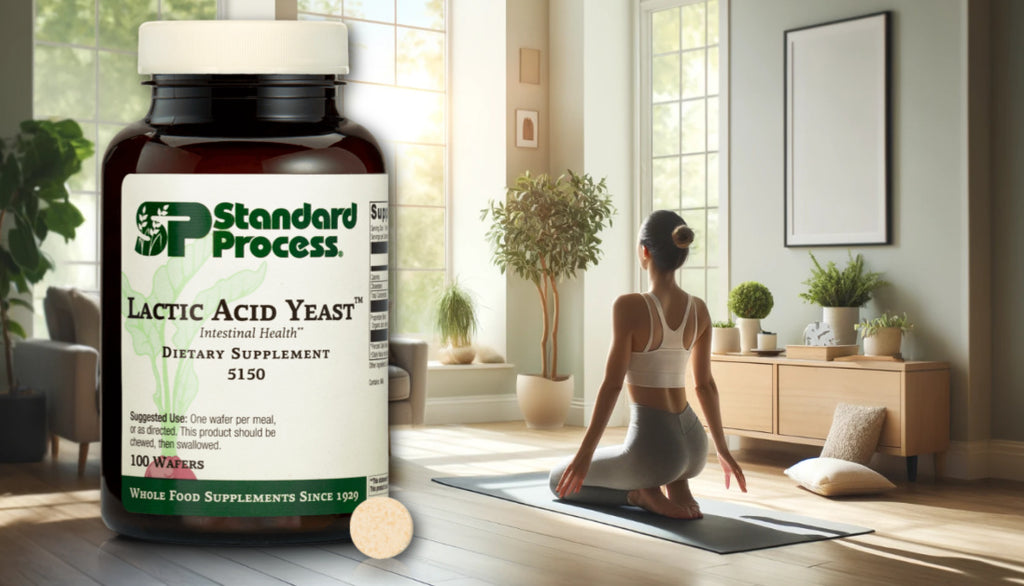 Lactic Acid Yeast™ by Standard Process- Benefits, Uses, Ingredients & More