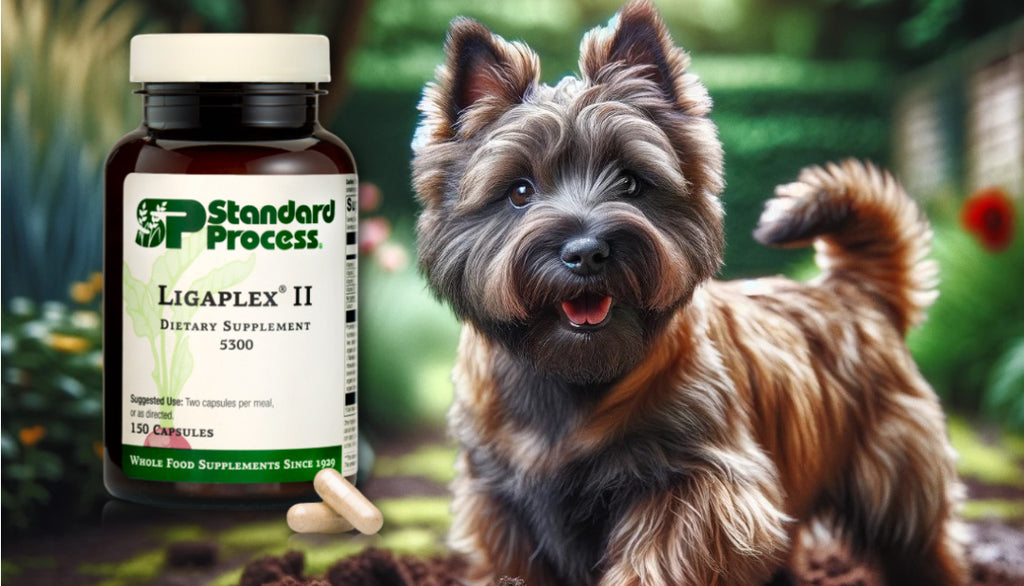 Ligaplex® II by Standard Process for Dogs: Connective Tissue and Joint Support, Vet-Advised