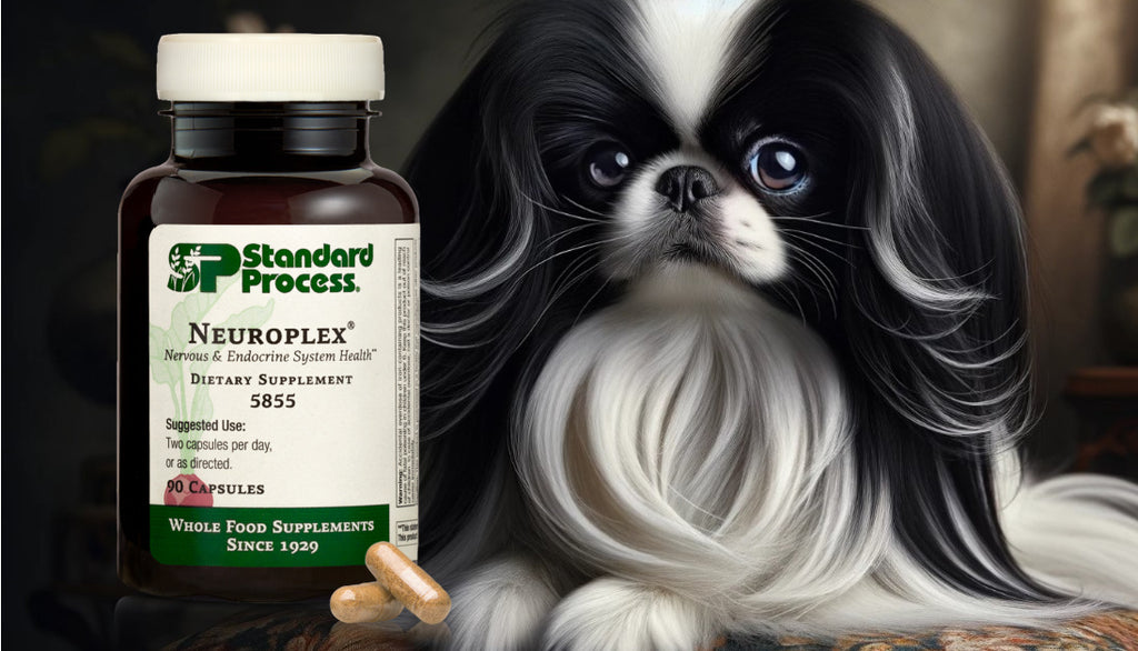 Neuroplex® by Standard Process for Dogs: Nervous System Health, A Veterinarian's Guide