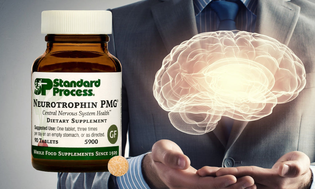Neurotrophin PMG® by Standard Process- A Breakthrough Supplement for Nervous System SupportBrain Health, Dr. Candy Akers, Standard Process