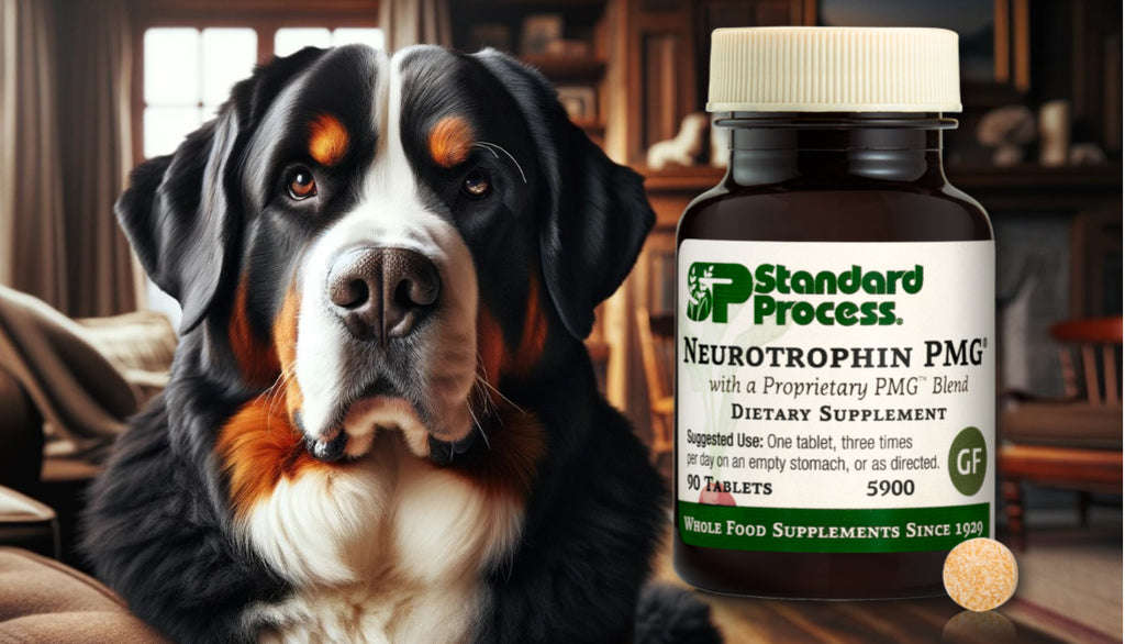 Neurotrophin PMG® by Standard Process For Dogs: Brain and Nerve Support, Vet-Recommended
