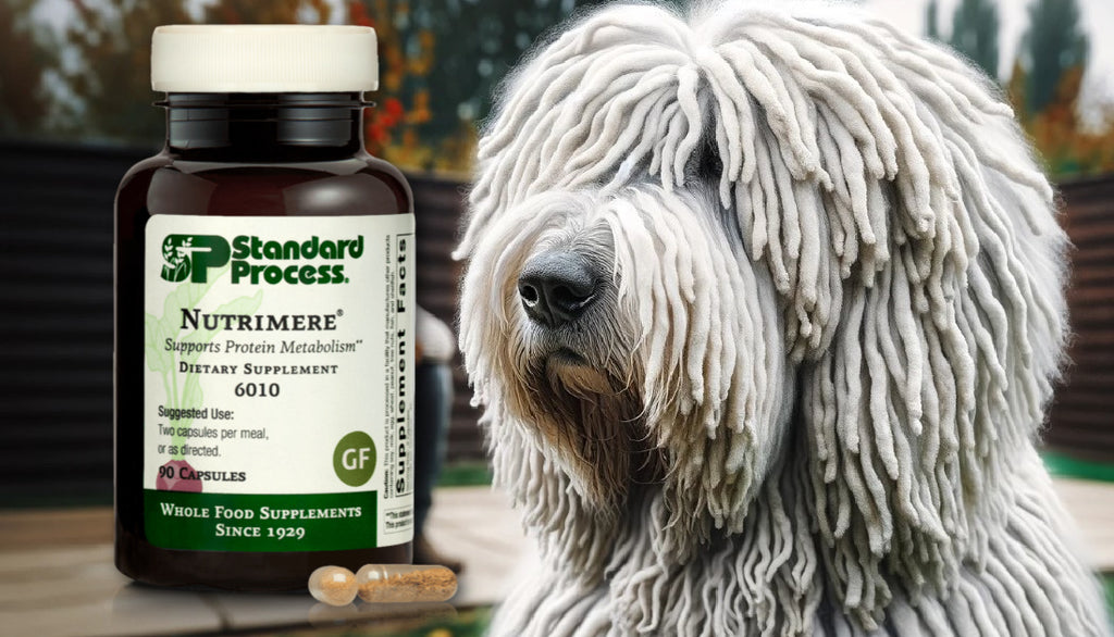 Nutrimere® by Standard Process for Dogs: Cellular Health Insights from Expert Vets